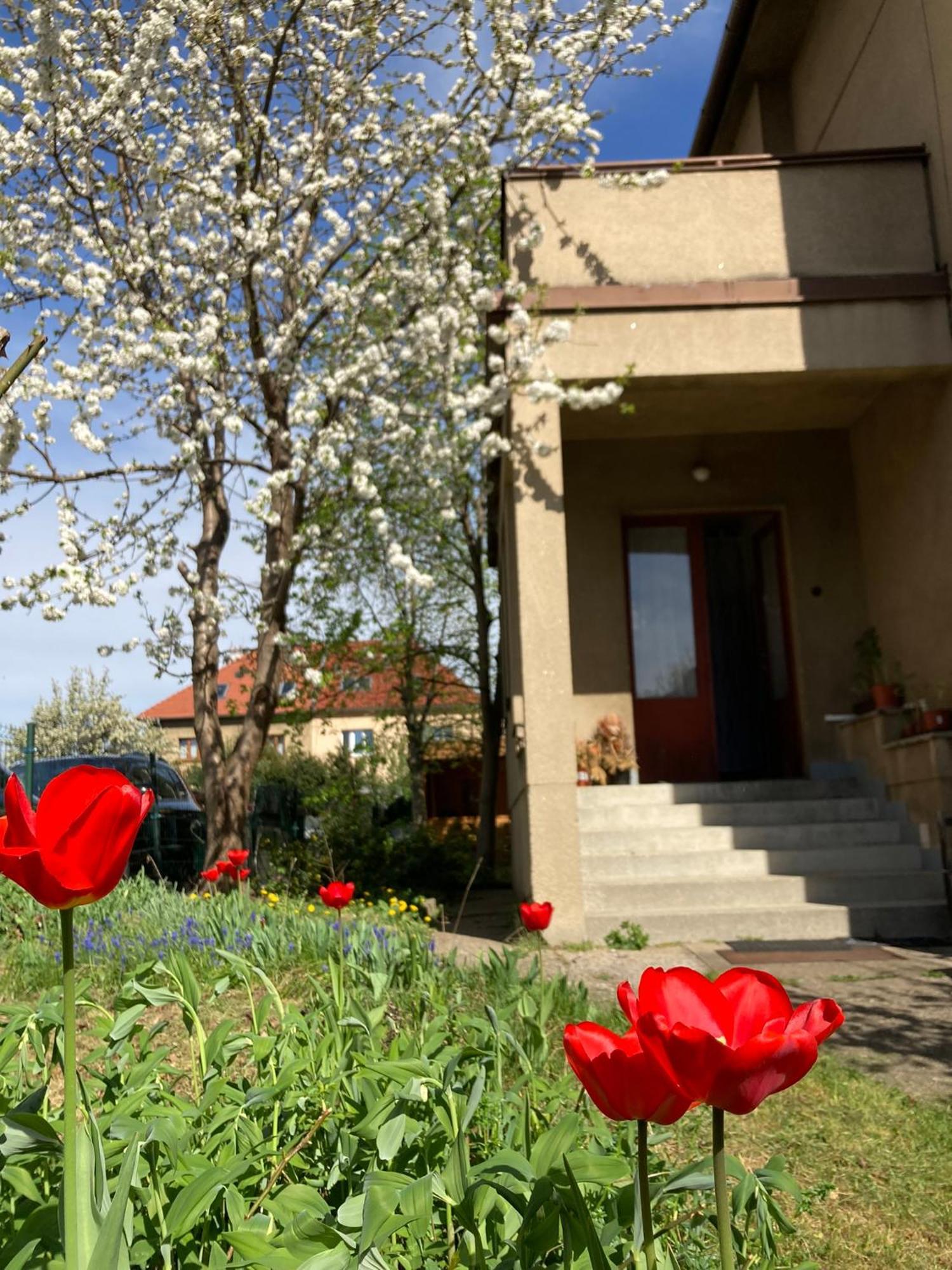 Spacious Apartment - Free Parking! Prague Luaran gambar