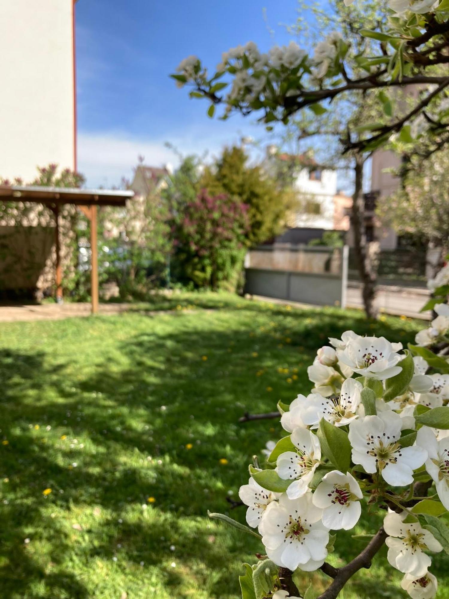 Spacious Apartment - Free Parking! Prague Luaran gambar